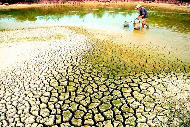 Thiếu nước ngọt, xâm nhập mặn ở đồng bằng sông Cửu Long đang là vấn đề cấp bách (Ảnh minh hoạ)