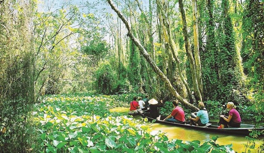 Du lịch sông nước là một trải nghiệm không thể bỏ qua khi đến Đồng Tháp