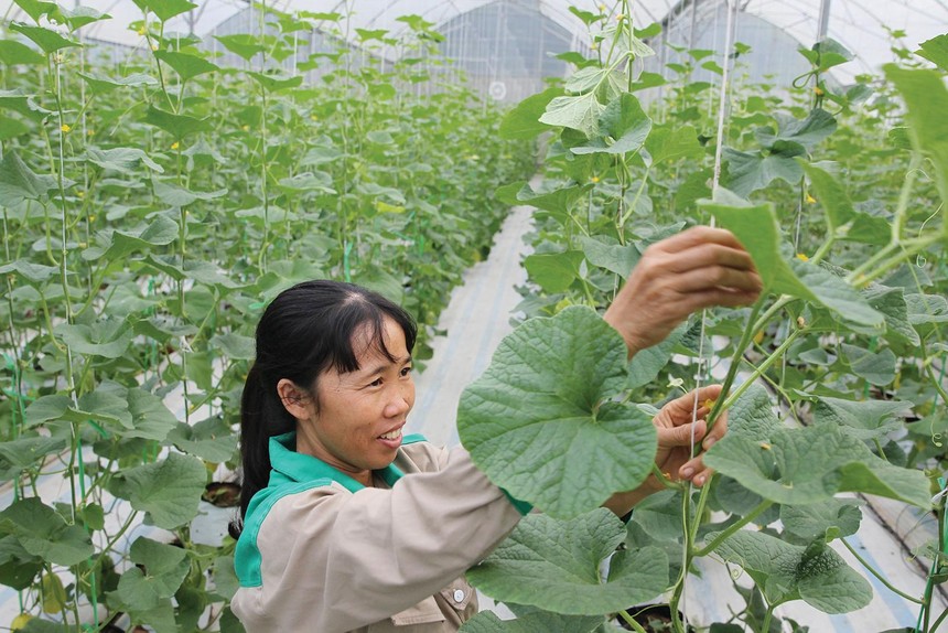 Tín dụng ngân hàng đang tập trung vào các lĩnh vực ưu tiên theo chủ trương của Chính phủ. Ảnh: Dũng Minh 