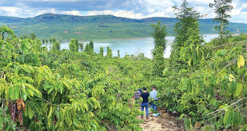 Nhà đầu tư đi săn đất nông nghiệp ở Lâm Đồng. Ảnh: Lê Toàn