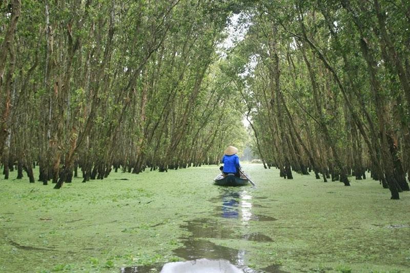 Rừng tràm An Giang