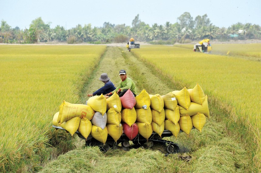 Agribank luôn xác định “nông nghiệp, nông thôn là thị trường truyền thống, nông dân là người bạn đồng hành”