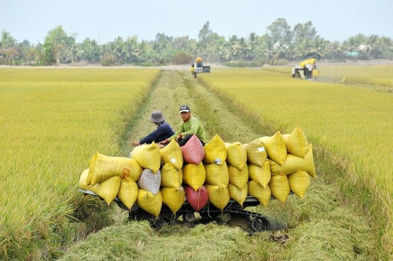 Có 4 nguyên nhân chính khiến các HTX gặp khó trong tiếp cận vốn, gồm: phương án sản xuất - kinh doanh không khả thi; không có tài sản đảm bảo vốn vay; hệ thống báo cáo tài chính chưa minh bạch, đầy đủ; tình hình tài chính, quản trị còn yếu.