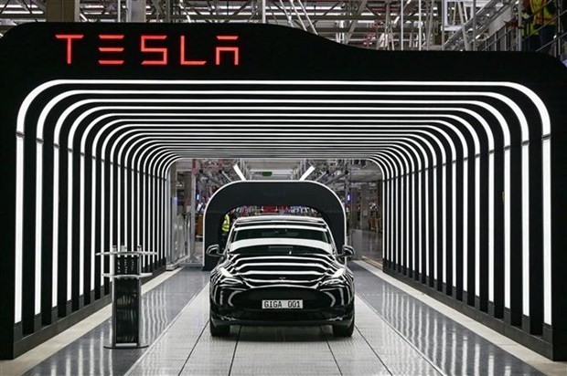 Một mẫu xe của hãng Tesla. (Ảnh: AFP/TTXVN)