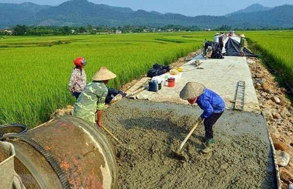 Ảnh minh hoạ. (Nguồn: Internet)