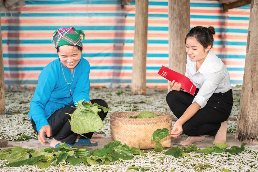 “Làm mới” bảo hiểm nông nghiệp