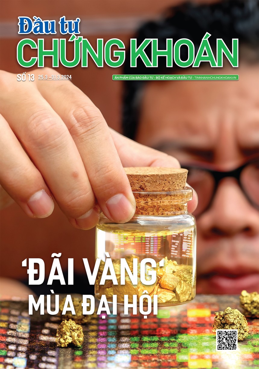 Báo Đầu tư Chứng khoán số 13