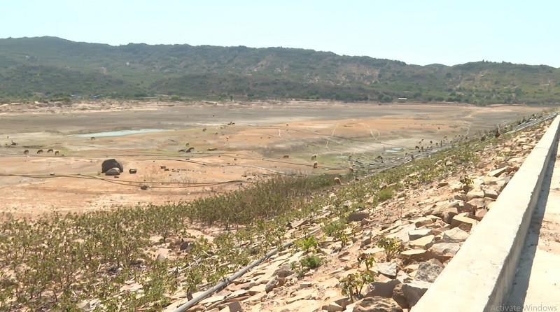 Hồ Ông Kinh, xã Nhơn Hải, huyện Ninh Hải đã về mực nước chết từ hơn một tháng qua. Nguồn: NTV