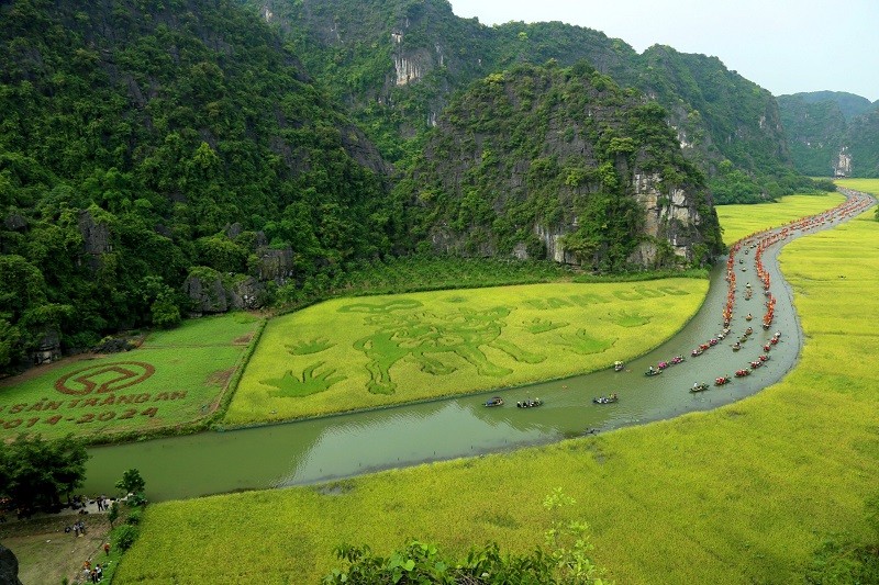 Nghi thức cúng Thần nông diễn ra bên cánh đồng lúa Tam Cốc đang vào độ chín vàng. Ảnh: Minh Đường