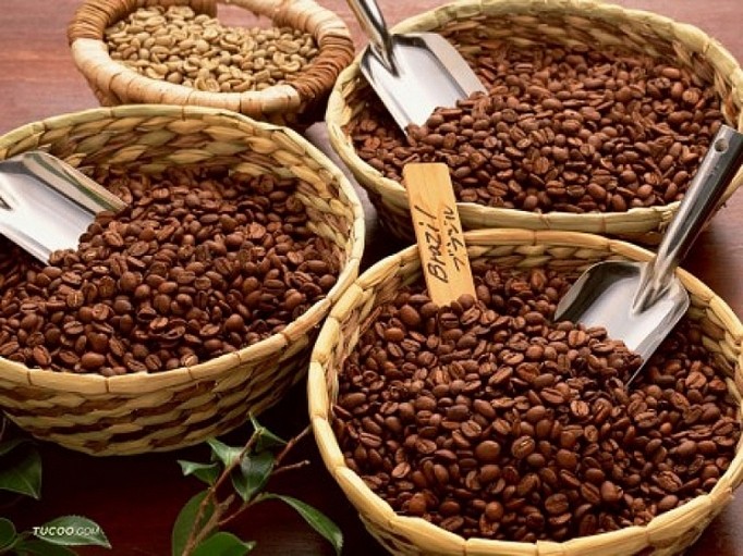 Giá cà phê xuất khẩu 5 tháng đầu năm đã tăng gần 50% so với cùng kỳ năm 2023, đạt 3.482 USD/tấn.