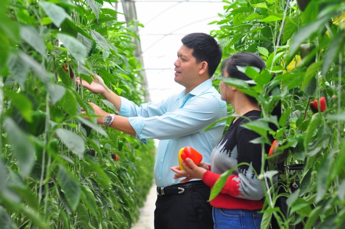 Hà Nội phấn đấu trở thành địa phương đi đầu trong phát triển nông nghiệp sinh thái, nông thôn hiện đại.