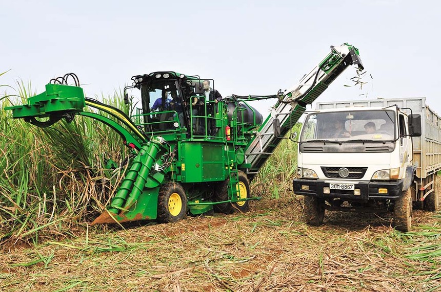 Lasuco liên kết với 8.000 hộ nông dân trồng mía và canh tác mía theo hướng giảm phát thải