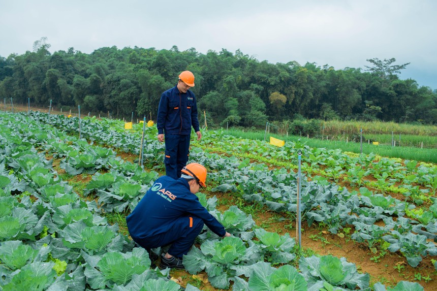 APG Eco và chiến lược sản phẩm hướng tới người tiêu dùng thông thái!