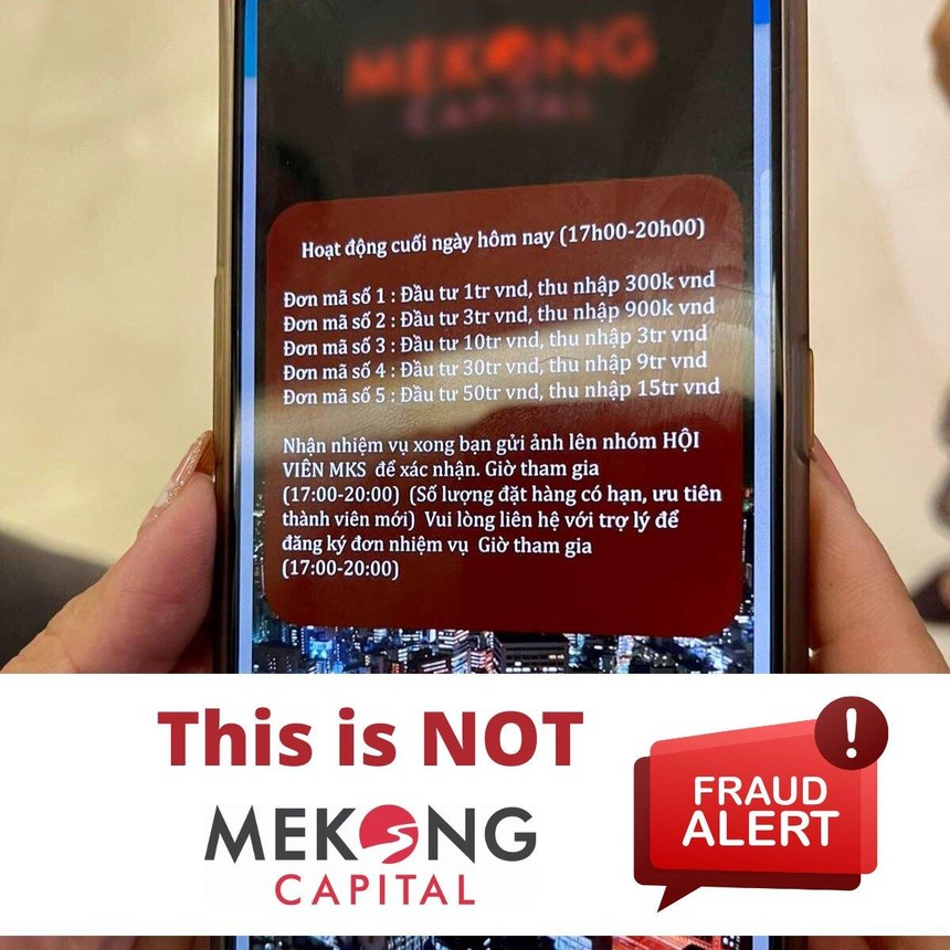 Nguồn: CEO Mekong Capital