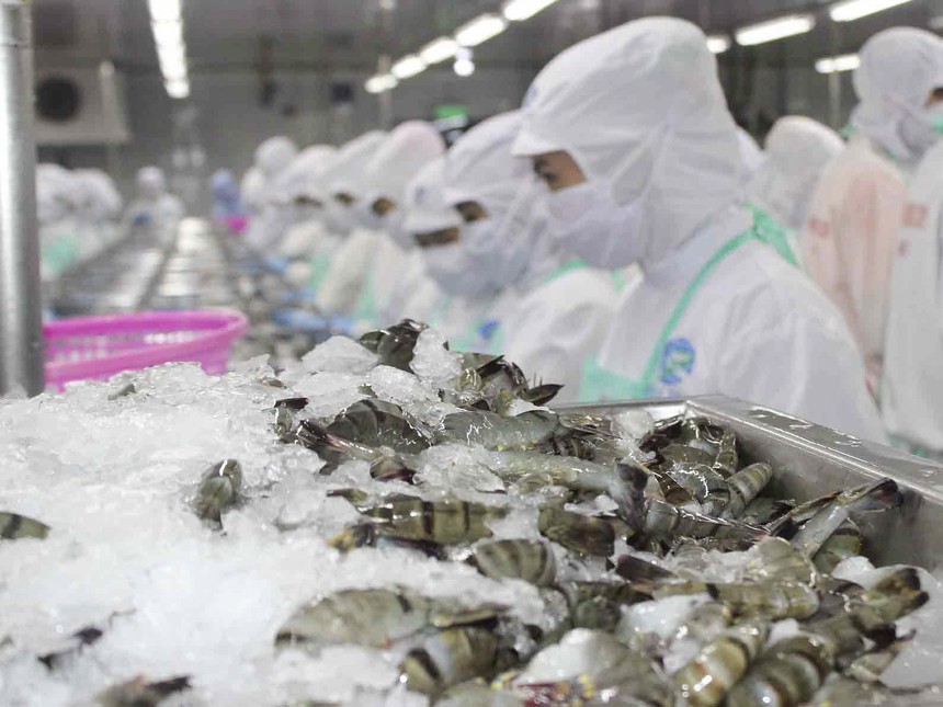 5 tháng đầu năm, tôm Việt xuất khẩu sang 103 thị trường, mang về 1,3 tỷ USD