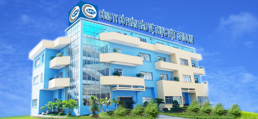 Ảnh Internet