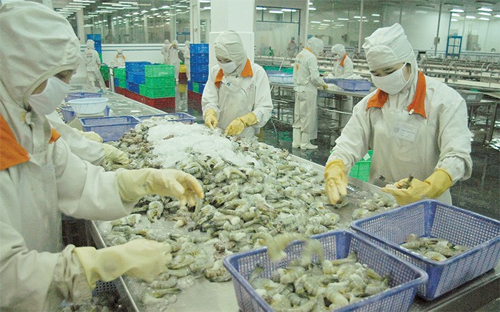 Các mặt hàng thủy sản chịu nhiều quy định chặt chẽ về xuất xứ và vệ sinh an toàn thực phẩm