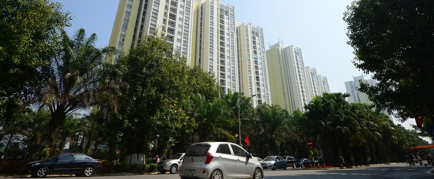 “Quản” cho có “lý”