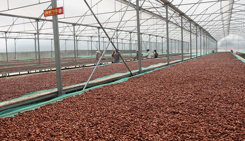 Nếu tận dụng tối đa năng lực nhân sự và sức mạnh công nghệ, 
DN sẽ vượt qua được thử thách và đi xa hơn