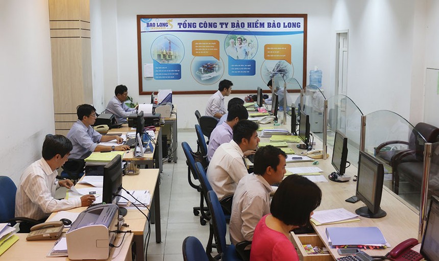 Bảo Long đặt mục tiêu tăng vốn lên 1.000 tỷ đồng vào năm 2019