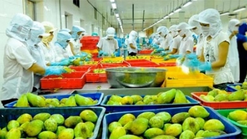 Thông qua MM Mega Market sẽ giúp Tập đoàn TCC đẩy mạnh việc tiếp thị, phân phối sản phẩm từ Việt Nam sang Thái Lan, cũng như các thị trường trong khu vực ASEAN..