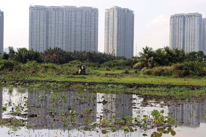 Ruộng vườn, đất đai bị hoang phế là tình cảnh chung của nhiều dự án “treo” nhiều năm tại TP.HCM. Ảnh: Trọng Tín