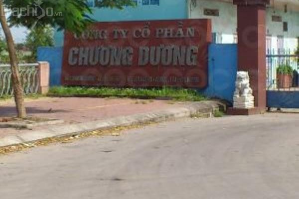 Công ty cổ phần Chương Dương hiện có vốn điều lệ 157 tỷ đồng