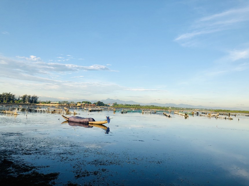 Vùng đất ngập nước Tam Giang - Cầu Hai.