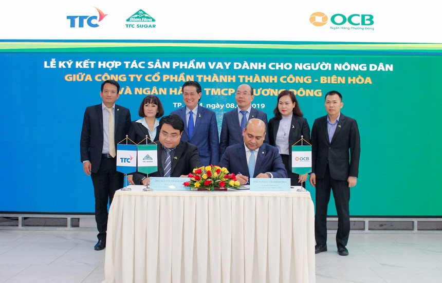 TTC bắt tay OCB “dẫn” vốn tới nông dân trông mía