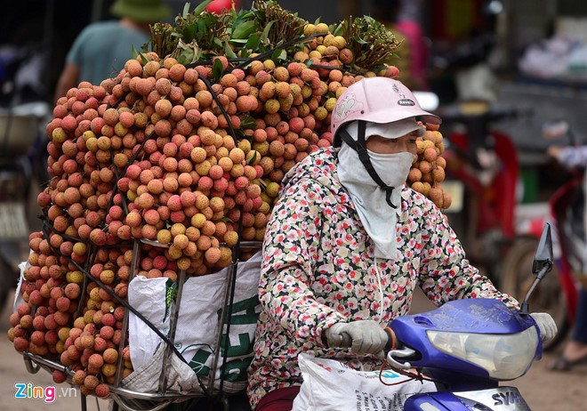 Nhiều tiểu thương khẳng định loại vải họ bán là "vải thiều Lục Ngạn, Thanh Hà". Ảnh minh họa.