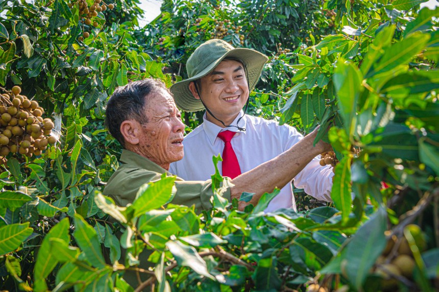 Trên nhiều địa bàn khó khăn, nhân viên ngân hàng vẫn phải trực tiếp “ba cùng” với người vay vốn.