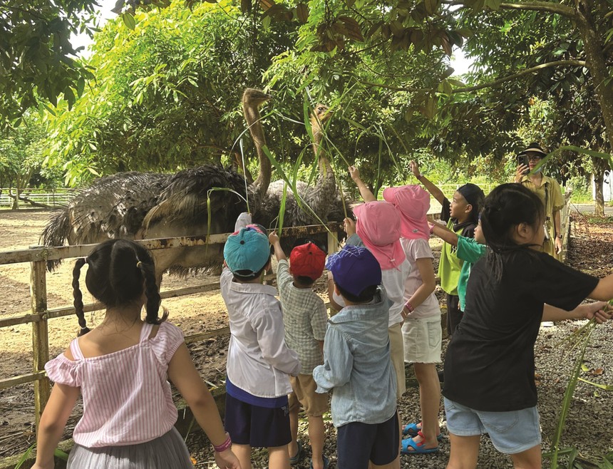 Mô hình farm-school đã nhen nhóm xuất hiện từ hơn chục năm trước.