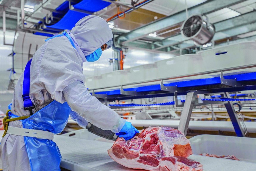 Tăng trưởng doanh thu từ mảng thịt ủ mát, thịt chế biến giúp MEATLife có lãi trở lại trong quý III/2024.