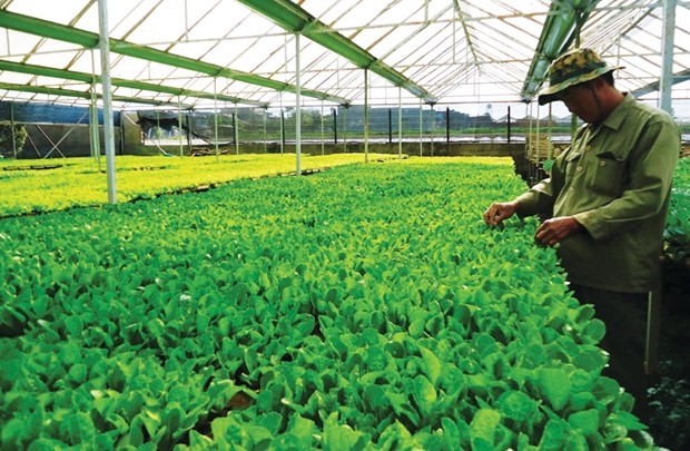 Đầu tư sang Lào, chuyện bây giờ mới kể