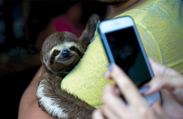 Mặt trái của selfie