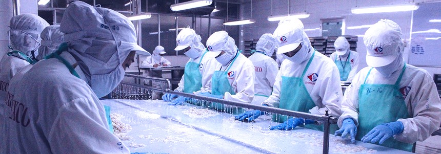 Thủy sản Cà Mau (CAT) chia cổ tức 15% bằng tiền và phát hành hơn 4,6 triệu cổ phiếu giá 10.000 đồng/CP 