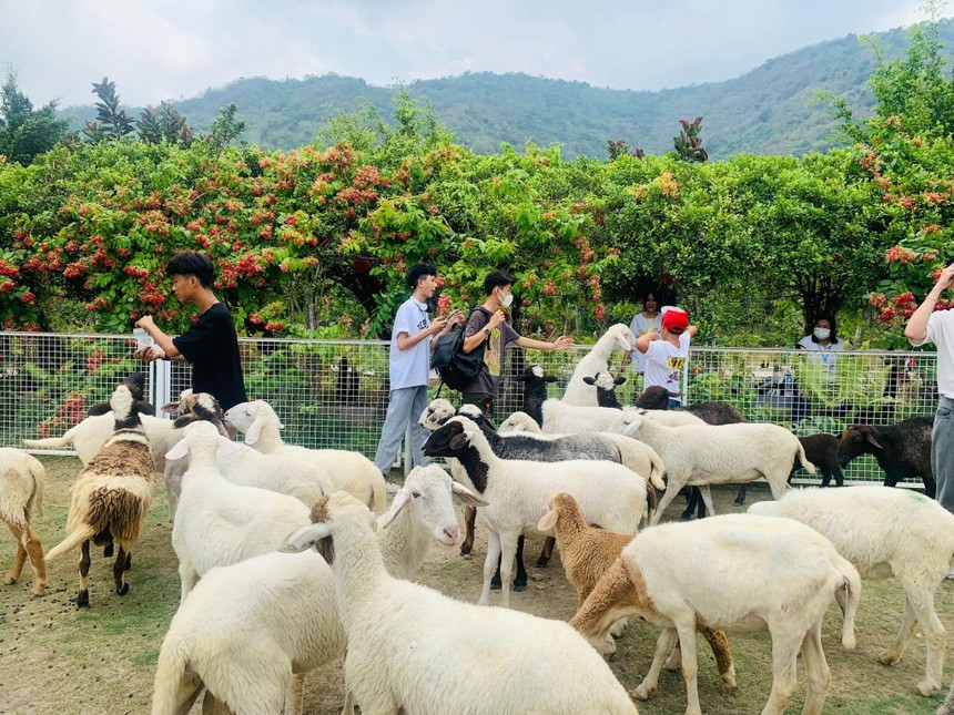 Khu tham quan An Hảo Solar thu hút đông đảo học sinh, sinh viên đến thăm quan.