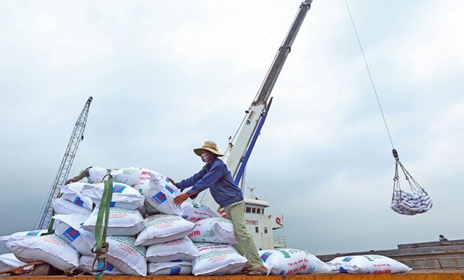 Ảnh chỉ mang tính minh họa. (Nguồn: TTXVN)