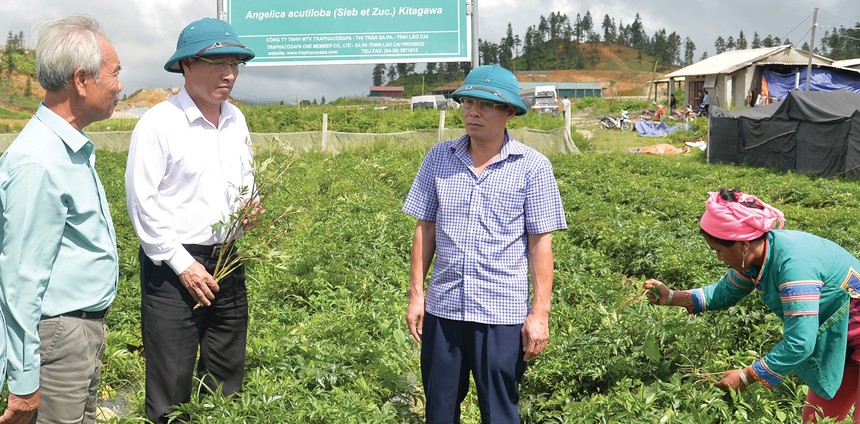 Ban lãnh đạo Traphaco, với nòng cốt là các đảng viên đã đưa Công ty trở thành một trong những doanh nghiệp dược lớn nhất cả nước.