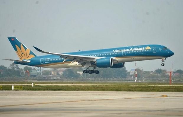 Máy bay của hãng hàng không Vietnam Airlines. (Ảnh: CTV/Vietnam+).