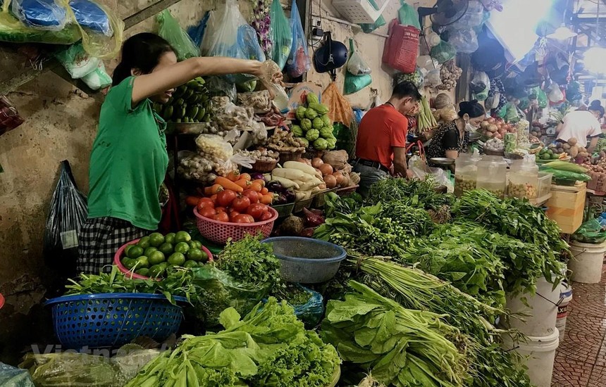 Giá rau xanh giảm khiến không chỉ người tiêu dùng mà tiểu thương tại các chợ cũng phấn khởi. (Ảnh: Việt Anh/Vietnam+)