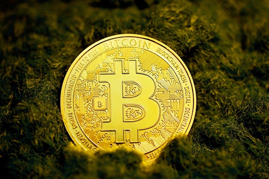 Bitwise: Dòng vốn đổ vào Bitcoin có thể đạt 420 tỷ USD vào năm 2026