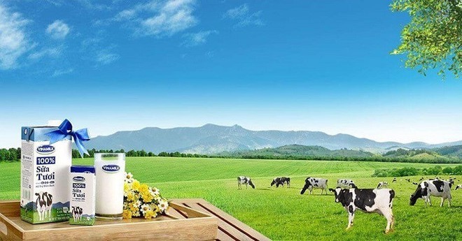 Vinamilk (VNM) chi gần 1.700 tỷ đồng mua 17,5 triệu cổ phiếu quỹ