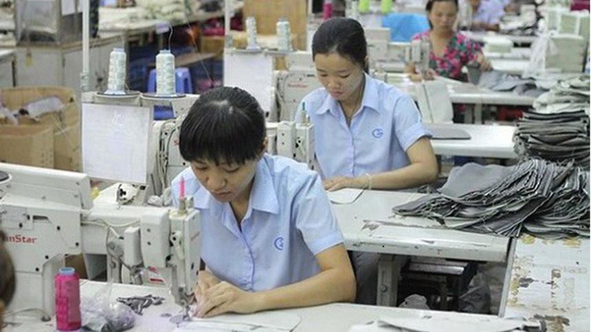 GIL: Quý IV/2020 doanh thu đạt 911,1 tỷ đồng, tăng 16,1%