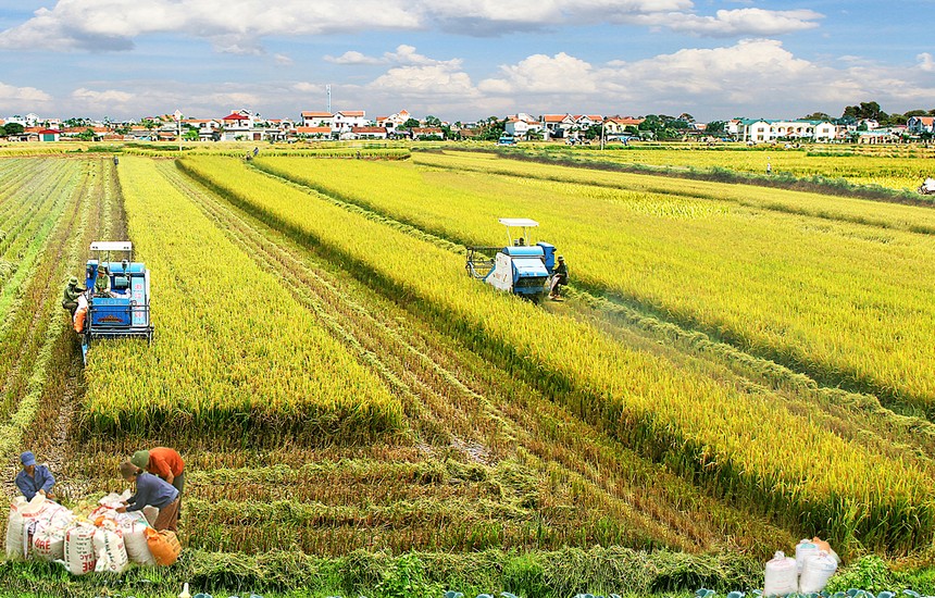 ADB sẽ giúp Việt Nam nâng cao nhận thức và một số biện pháp khác để nâng cao năng suất trong nông nghiệp, kết nối chuỗi giá trị và an toàn vệ sinh thực phẩm