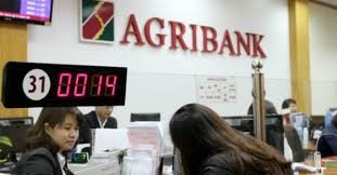 Agribank: Cùng Đồng bằng sông Cửu Long phát triển bền vững