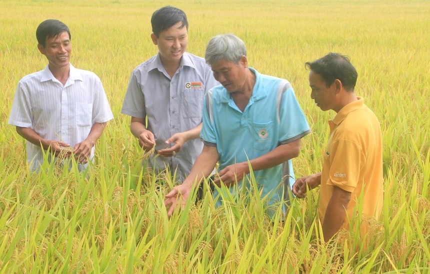 Nông dân tại An Giang trao đổi với "Lực lượng 3 cùng" của Lộc Trời (Ảnh: Hồng Phúc).