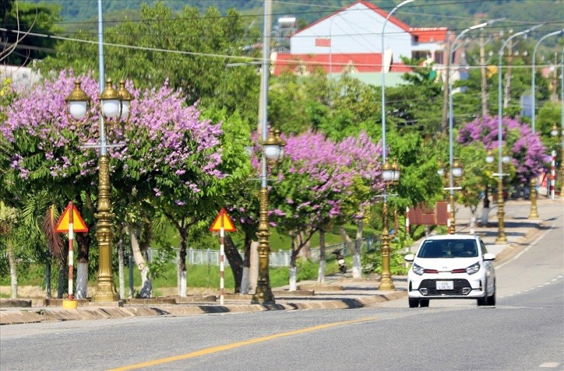 Dự án Nhà ở xã hội khu quy hoạch 5B - CC5 tìm được nhà đầu tư