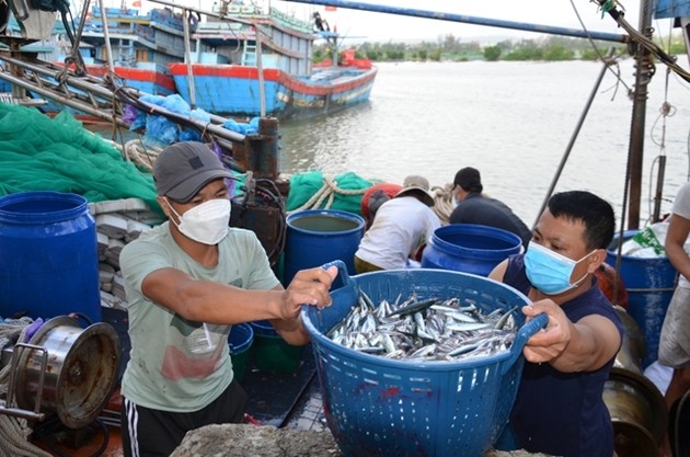 Ủy ban châu Âu sẽ kiểm tra về chống khai thác hải sản bất hợp pháp vào tháng 10/2023.