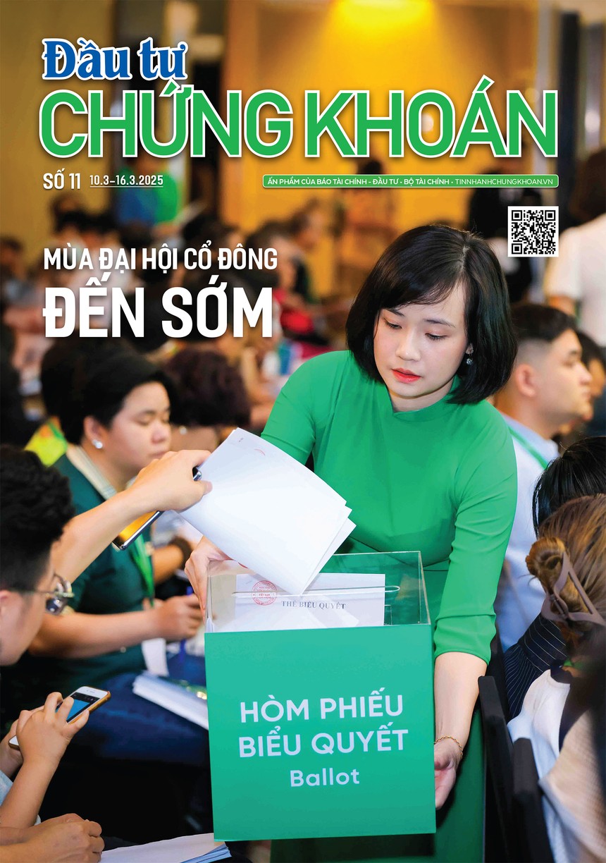 Báo Đầu tư Chứng khoán số 11